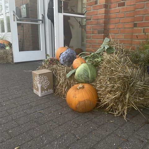 Markt „Goldener Herbst“