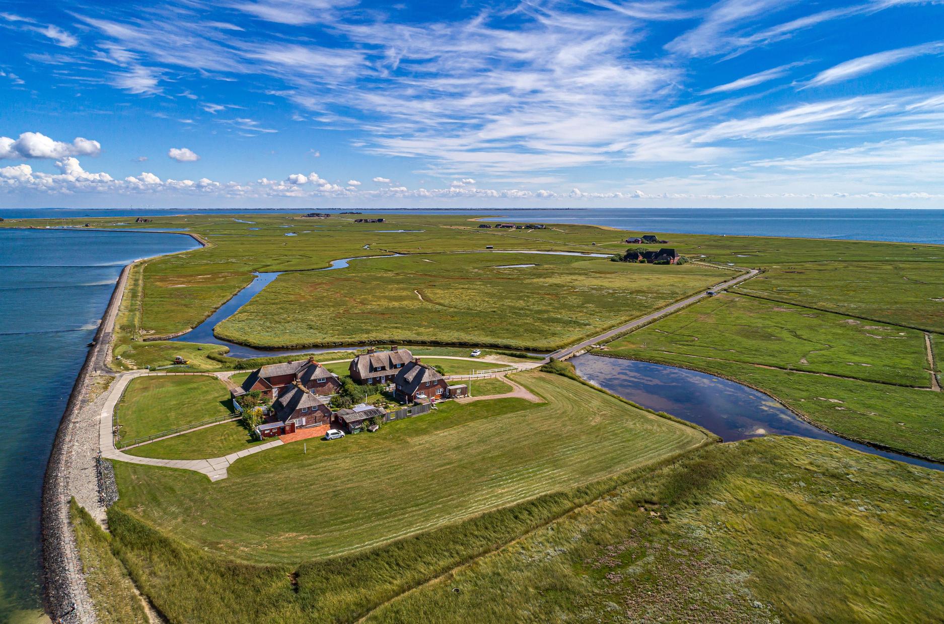 Hallig Hooge Tagesausflug