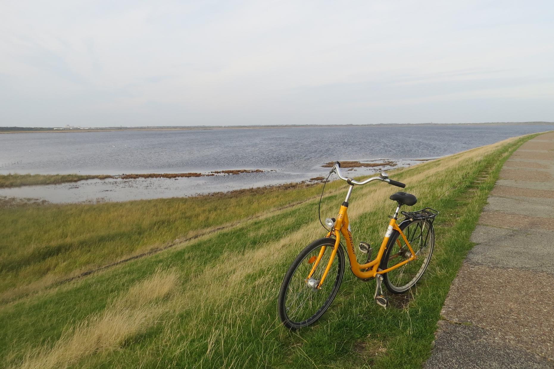 Naturkundliche Fahrradtour rund um das Rantumbecken