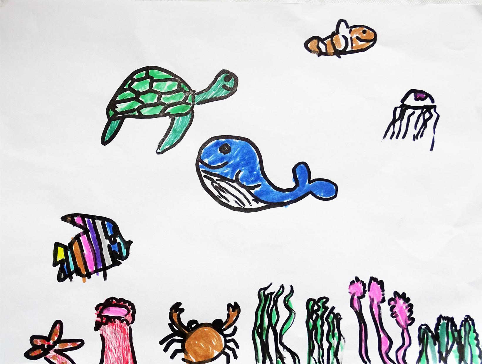 Küstentiere zeichnen und anmalen für Kinder (6-12 Jahre)