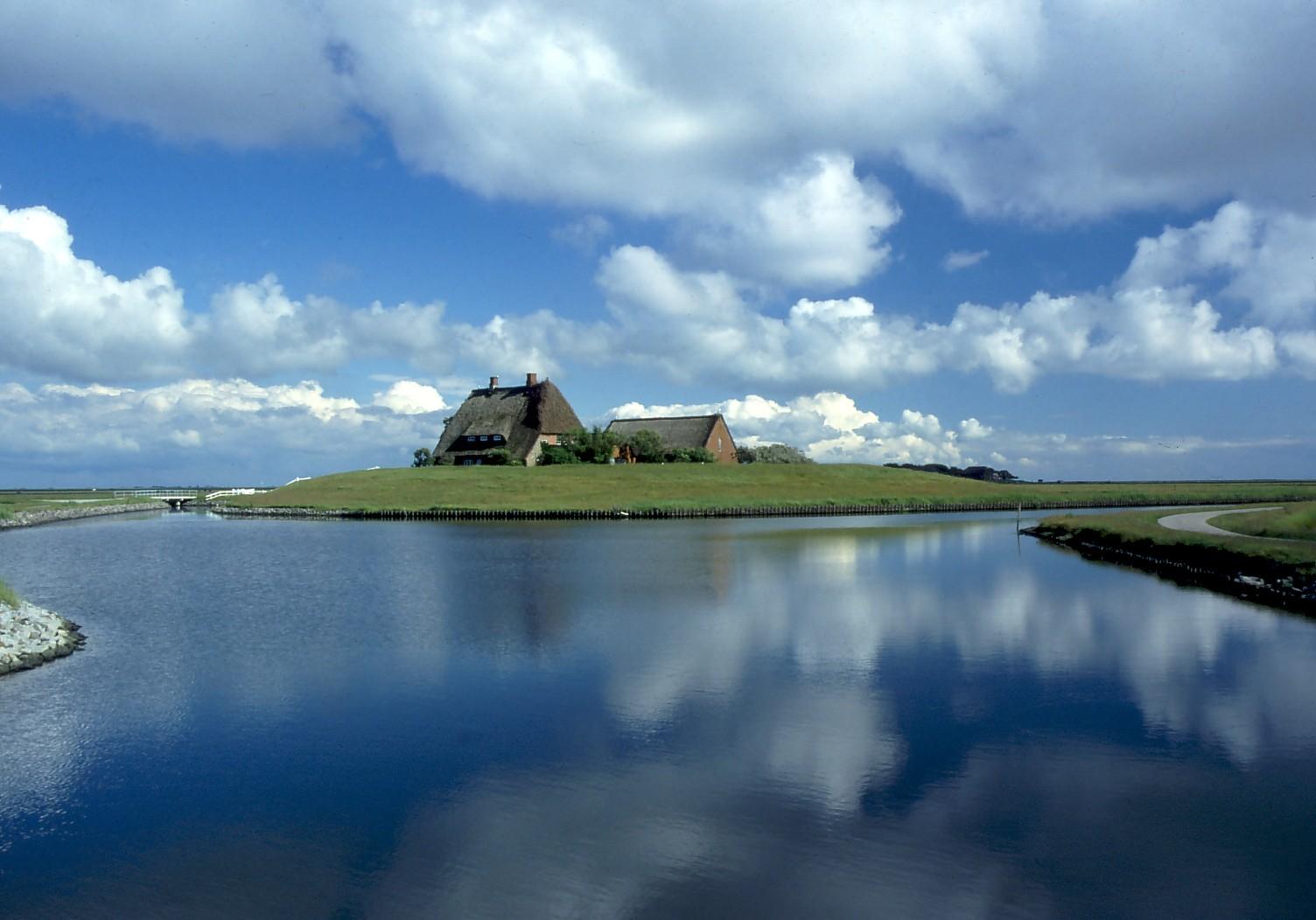 Die Halligen