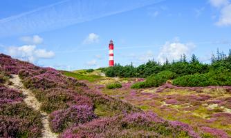 Amrum Tagesausflug (kurzer Aufenthalt)