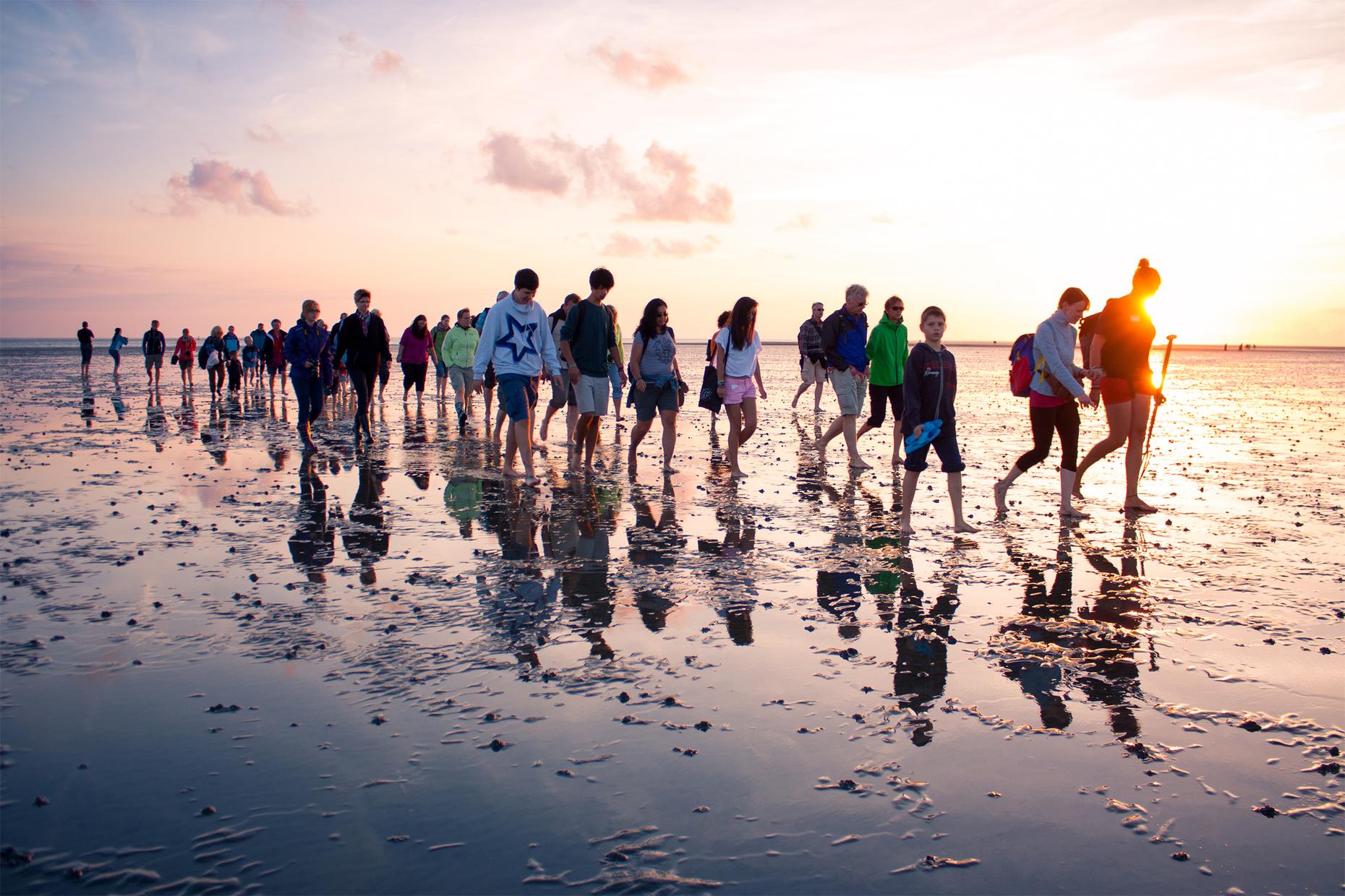Wattwanderung - Abenteuer Wattenmeer in Hörnum
