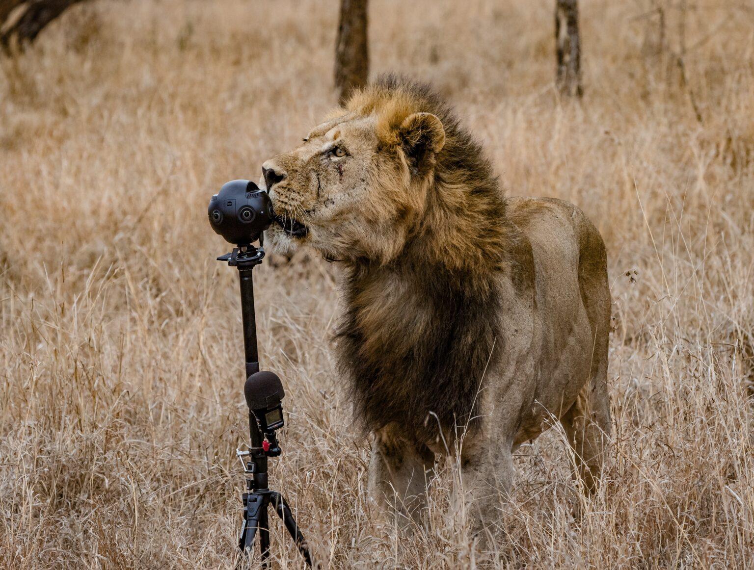 Film: Wundervolle Tierwelt Afrikas