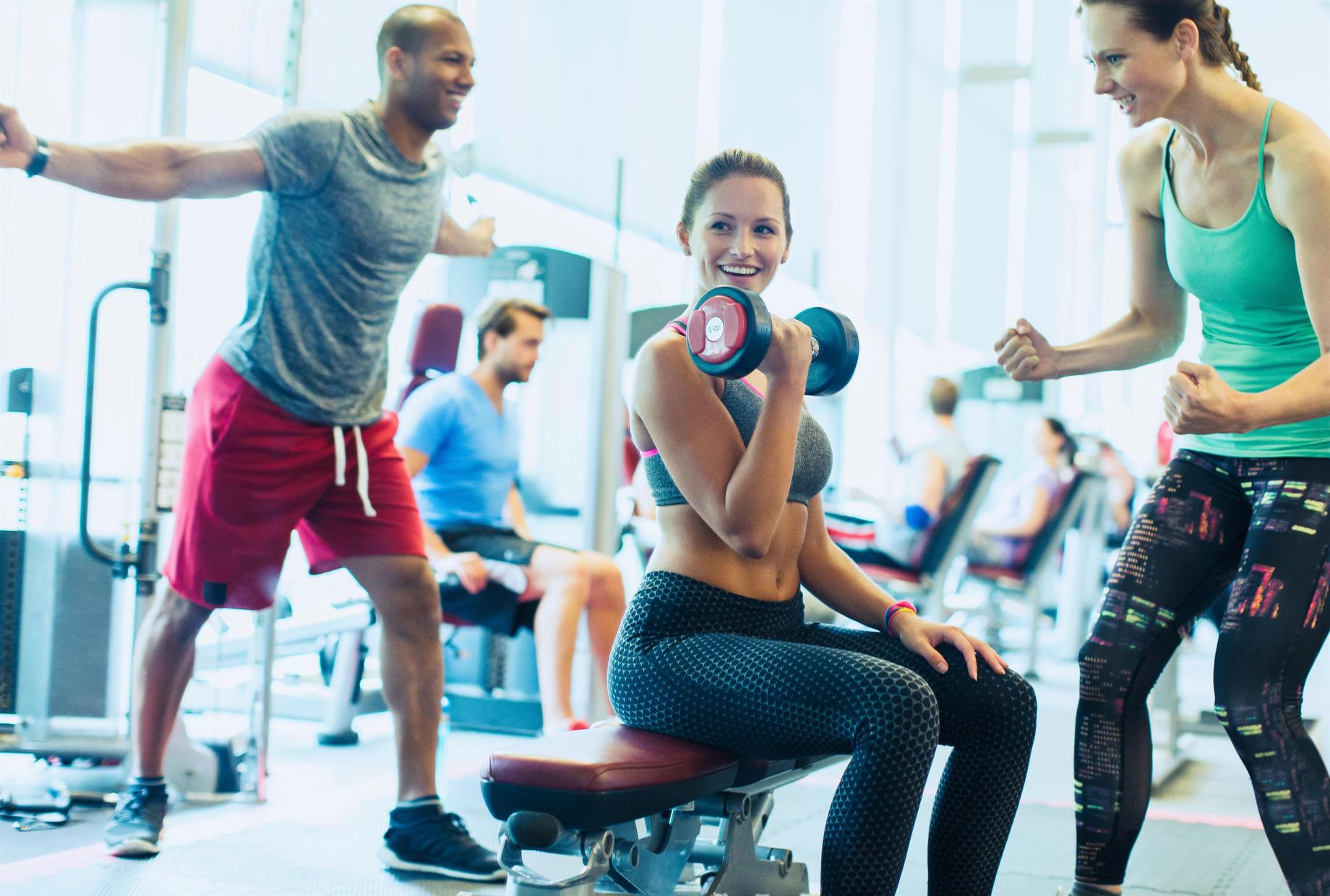 Gym Fit - Gerätezirkel