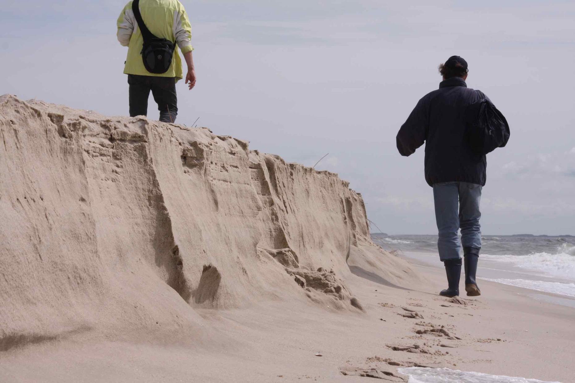 Führung am Strand um die Sylter Südspitze