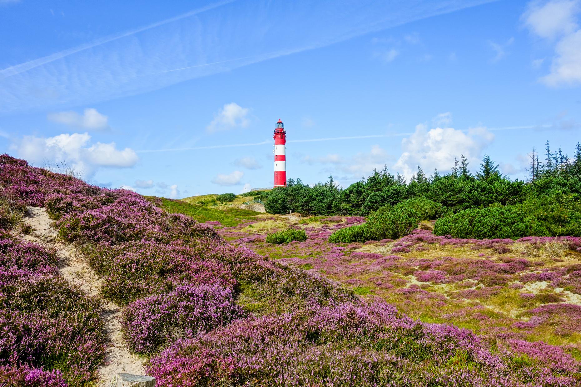 Amrum Tagesausflug (kurzer Aufenthalt)