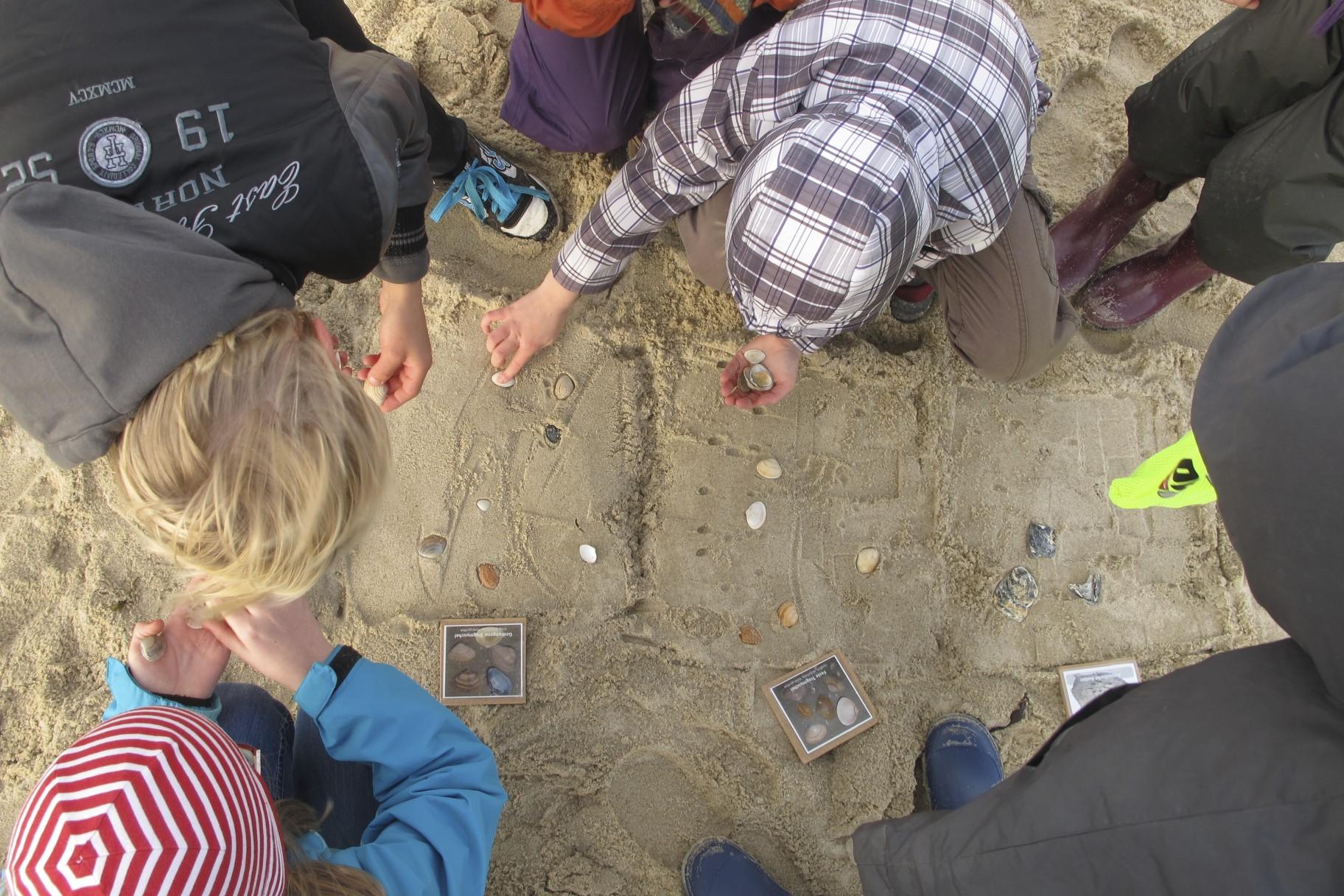 Funde am Rantumer Strand auf Sylt