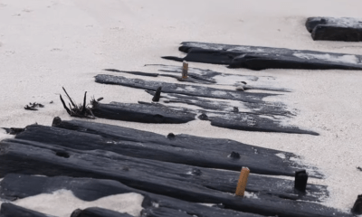 Wrack vor Sylt